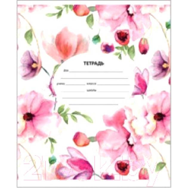 Тетрадь ArtSpace Микс. Для девочек / Т12нл_17883