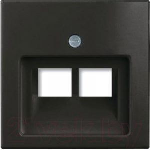 Лицевая панель для розетки ABB Basic 55 1753-0-0206