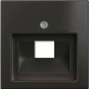 Лицевая панель для розетки ABB Basic 55 1753-0-0207