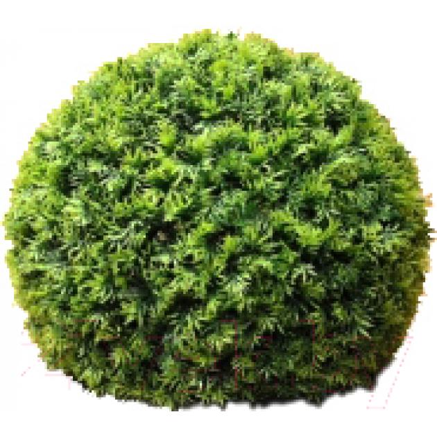 Искусственное растение Green Fly Самшит Крапива / С-15-23
