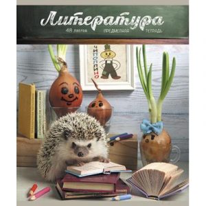 Тетрадь предметная Magic Lines Тайная жизнь ежей. Литература / 28863