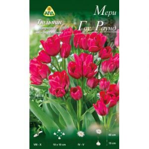 Семена цветов АПД Тюльпан Мери Гоу Раунд многоцветковый / A30802