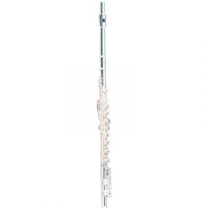 Флейта Maxtone TFC-53SE