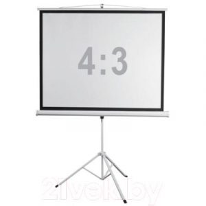 Проекционный экран Digis DSKD-4303